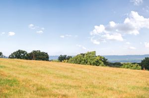 Photo 20- click for photo gallery